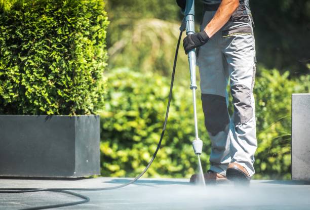 Best Spring Cleaning  in Trempealeau, WI